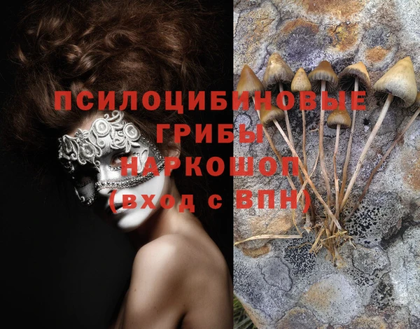 прущий лед Видное