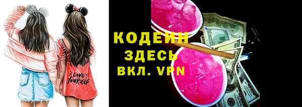 сатива Лабытнанги