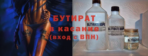 сатива Лабытнанги