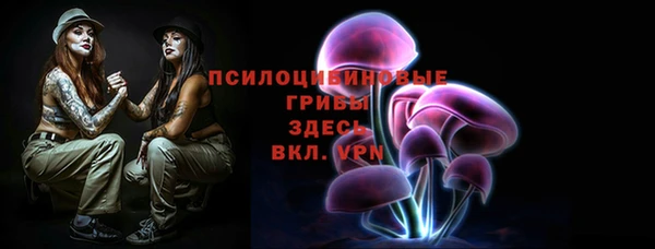 гашик Лагань