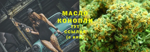 сатива Лабытнанги