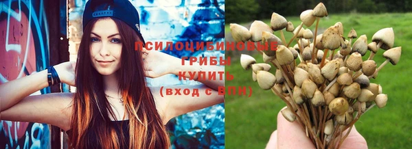 гашик Лагань