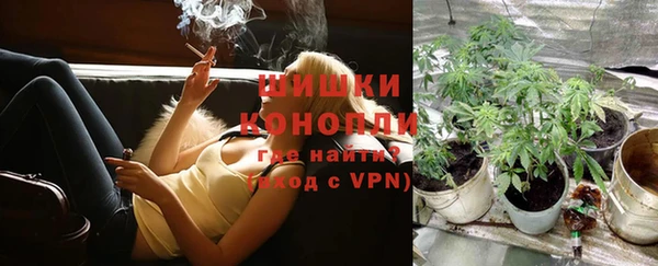 сатива Лабытнанги