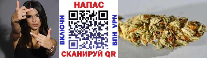 МАРИХУАНА гибрид  kraken как войти  Магас  хочу наркоту 